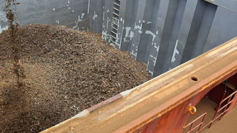 ASI-Riva Celebrates Five Decades of Recycling on the St. Lawrence River
