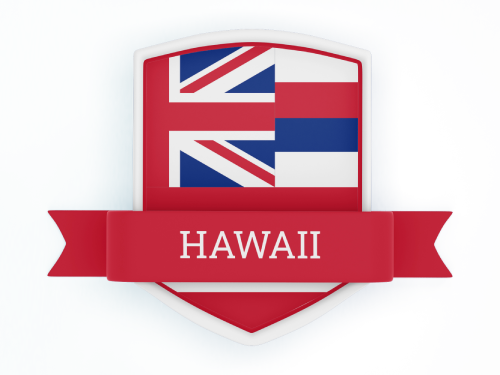 Hawaii State Flag in Shied