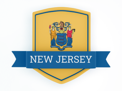 New Jersey State Flag in Shied