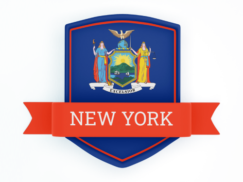 New York State Flag in Shied