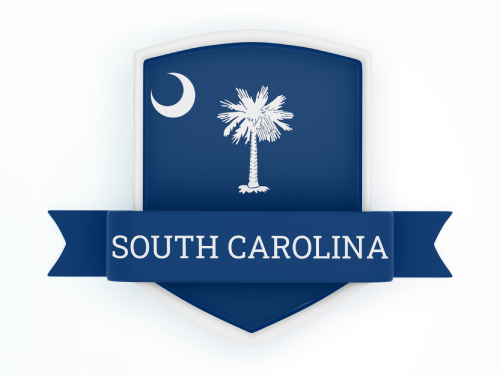 South Carolina State Flag in Shied
