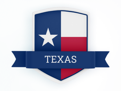 Texas State Flag in Shied