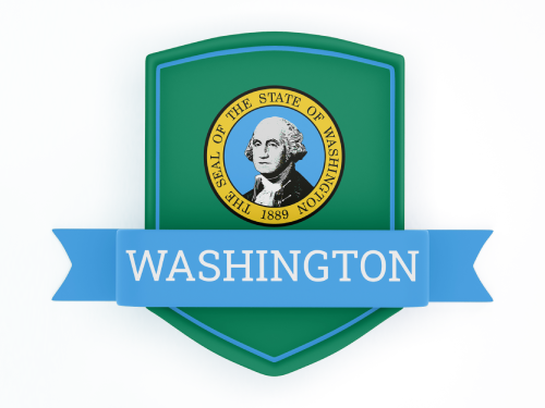 Washington State Flag in Shied