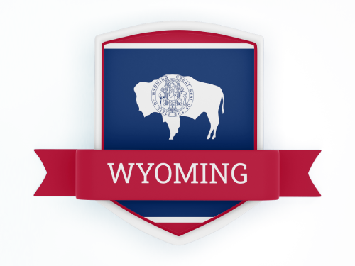 Wyoming State Flag in Shied