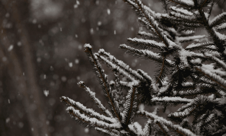 How to Avoid Frostbite in the Winter