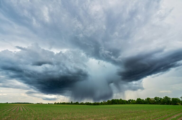 Summertime Safety Tips: Keeping Yourself and Employees Safe in Inclement Weather    