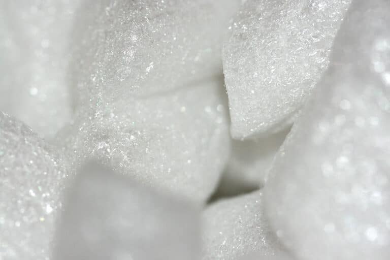 Joint Venture Forms to Increase Plastic Recycling